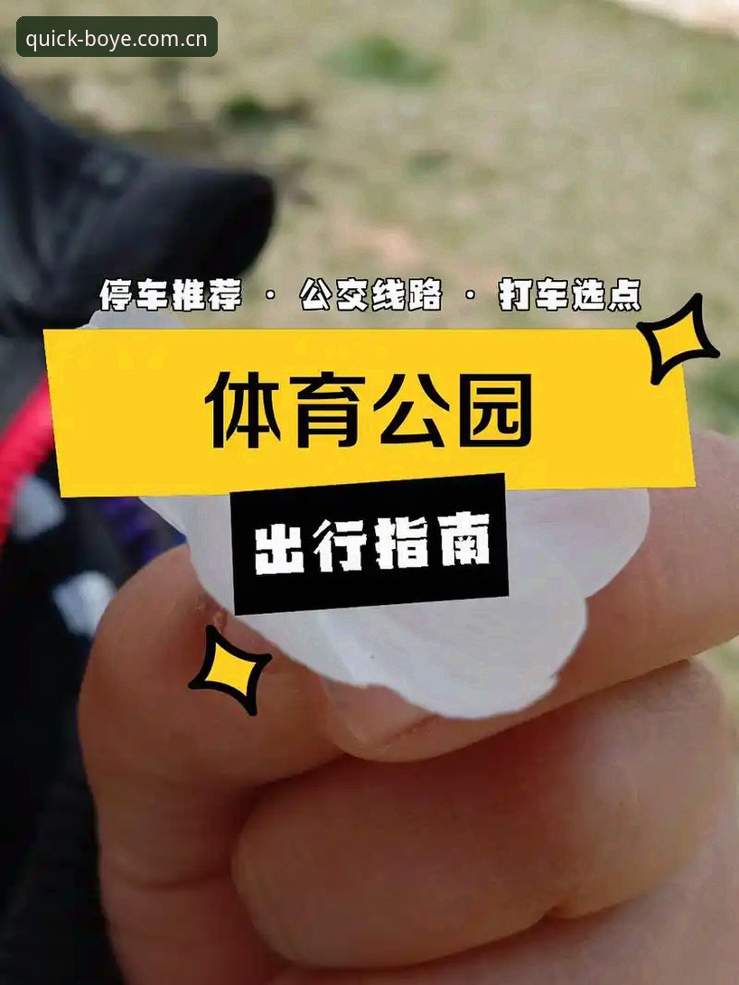 博业体育平台免下载使用指南：安全访问与最新入口完整攻略